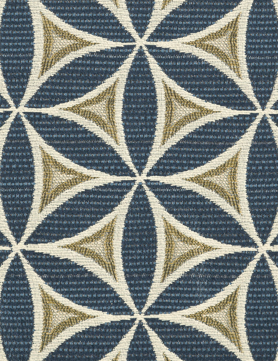 Ikebana-midnight sky