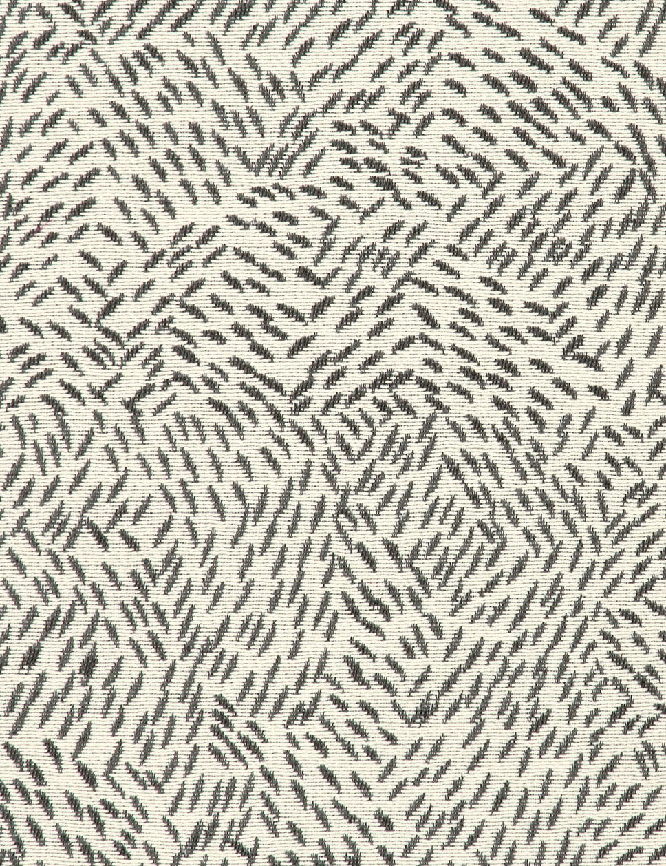 Migration-salt and pepper