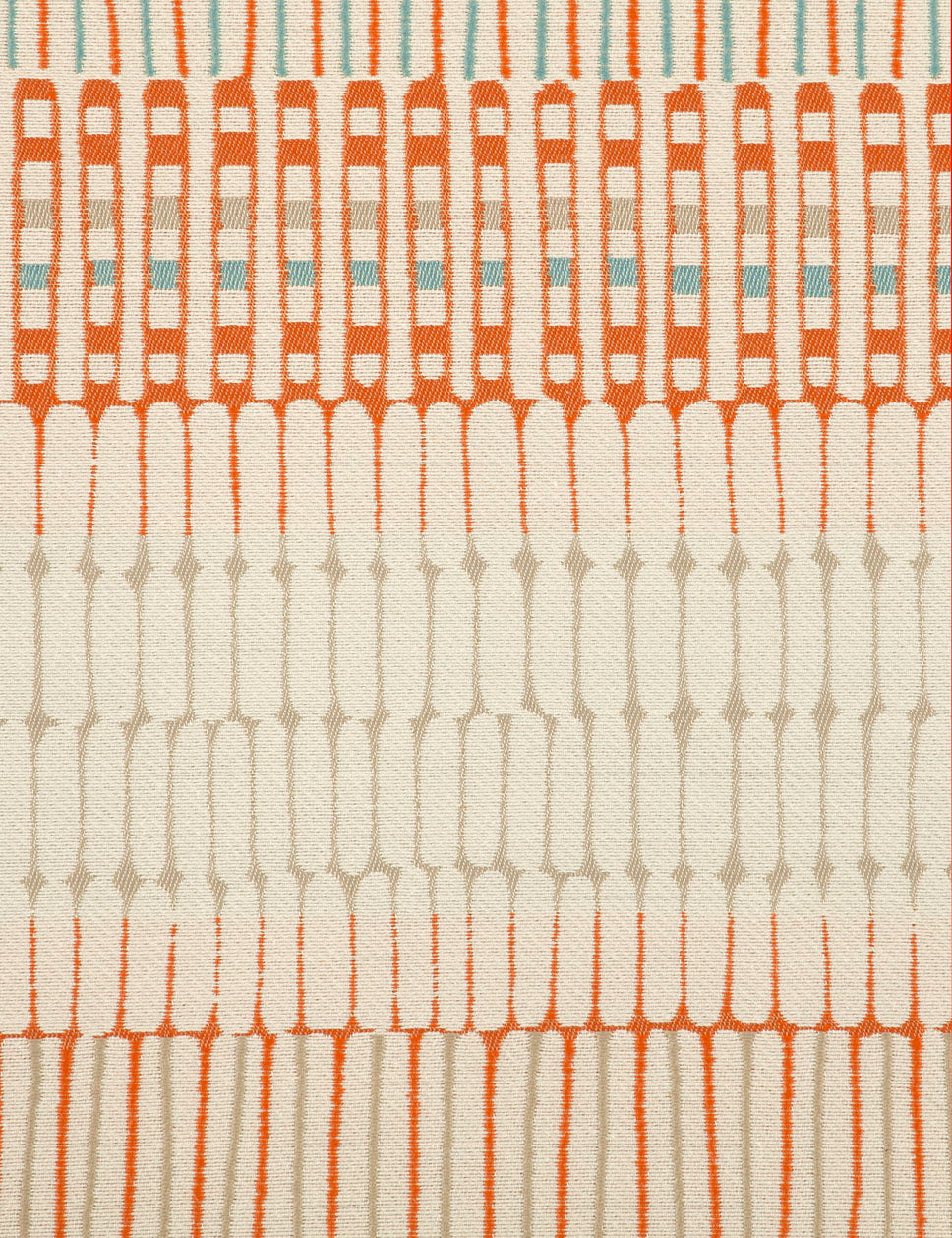 Field Day-carrot soup