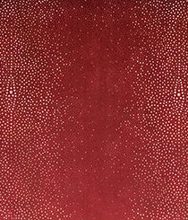 3007-02 Zigrino - Sting