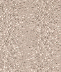 3983-04 Komodo - Crater