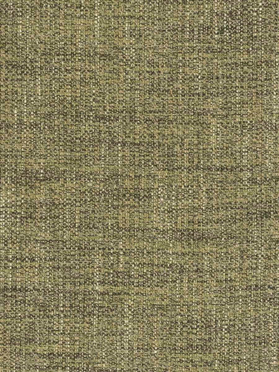 Equilibrium - Forest