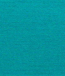 5829-07 Ray - Joy