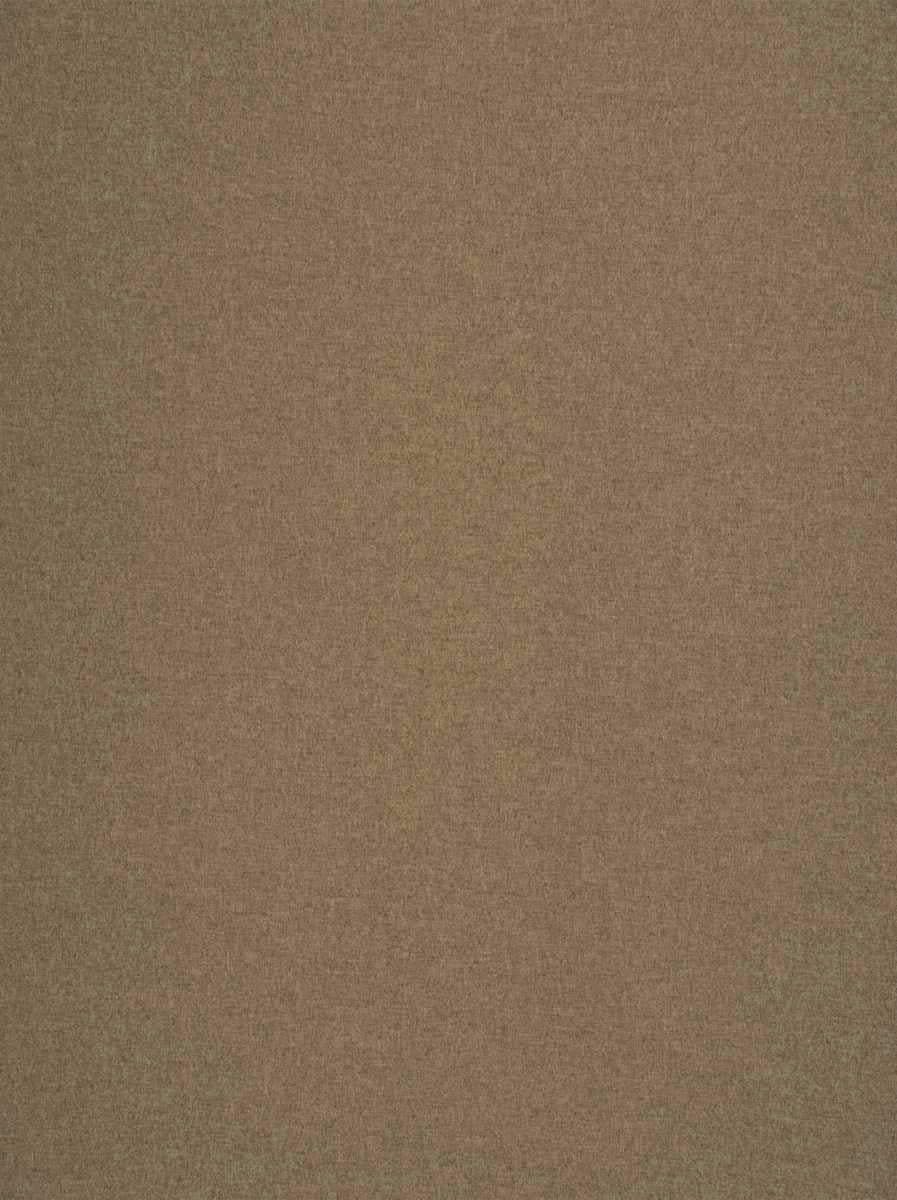 Felty-Camel