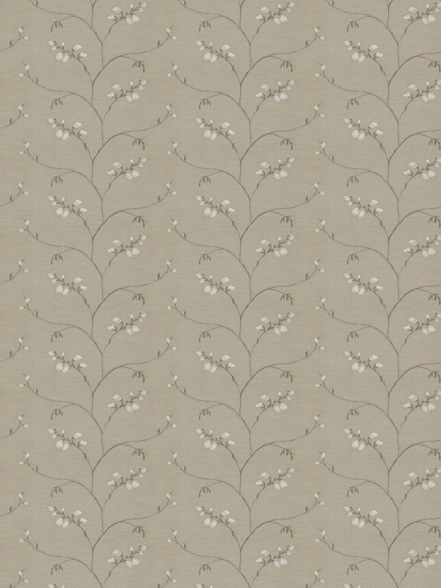 Rizinia - Khaki