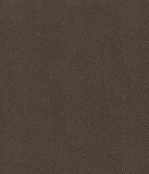 9404-12 Ravenswood - Agatite