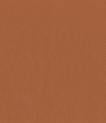 9407-15 Sauganash - Treaty Elm