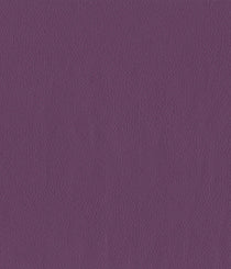 9407-21 Sauganash - Kingsdale