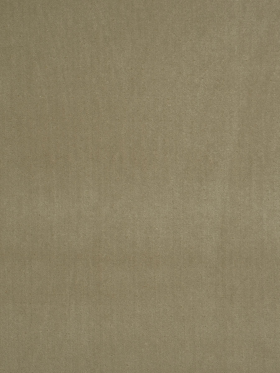 Fomo Velvet-Beige
