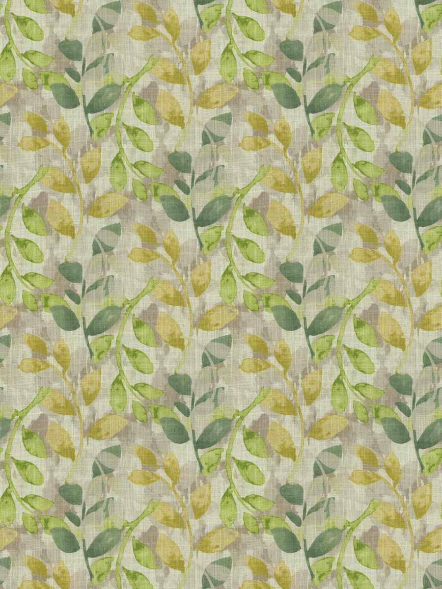 Ivy - Leaf