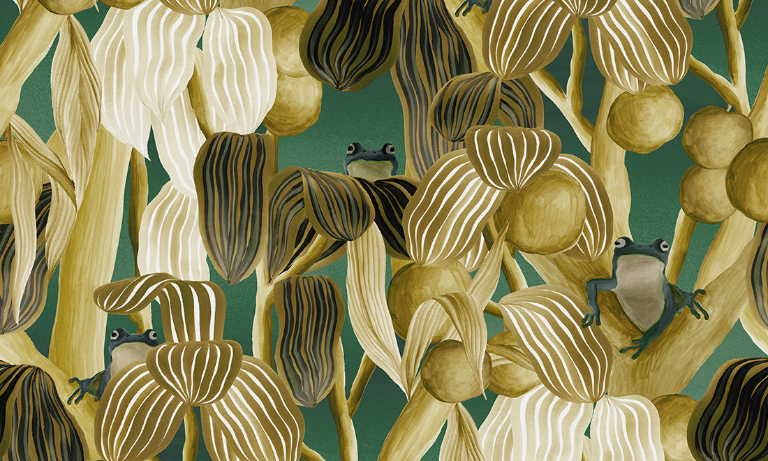 97510 Les Grenouilles de Chavroches - Camouflage