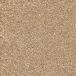 Capelli-Camel