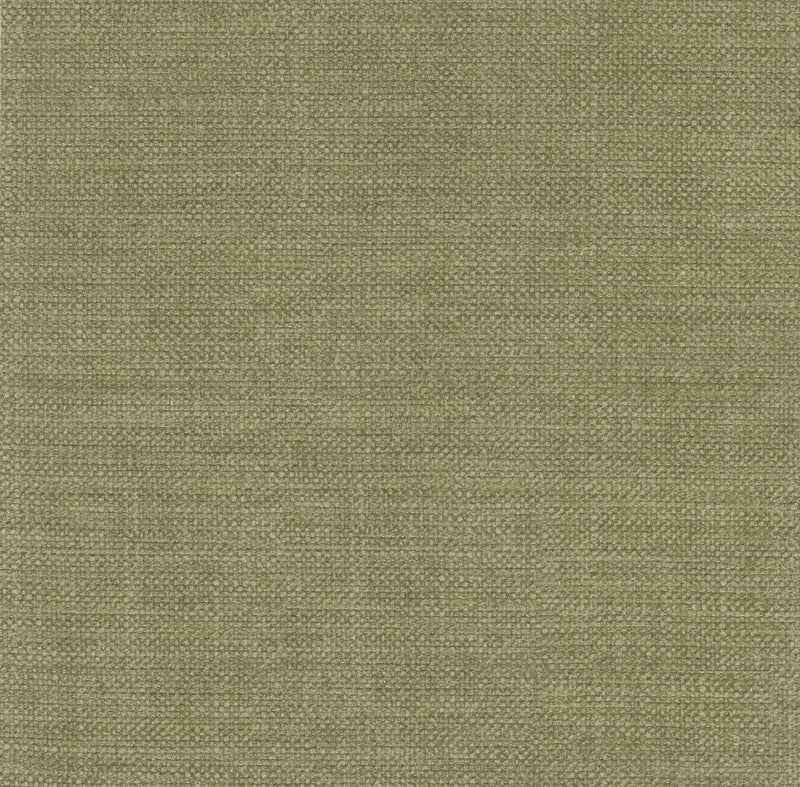 Espania-Fern