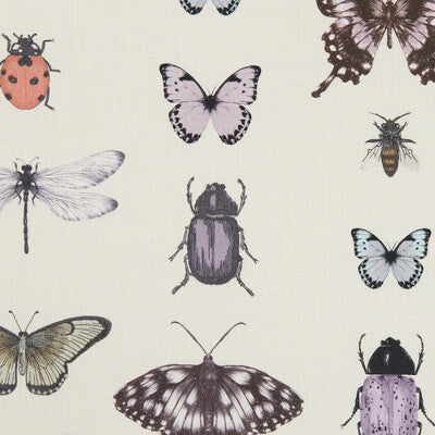 Papilio-Heather/Ivory