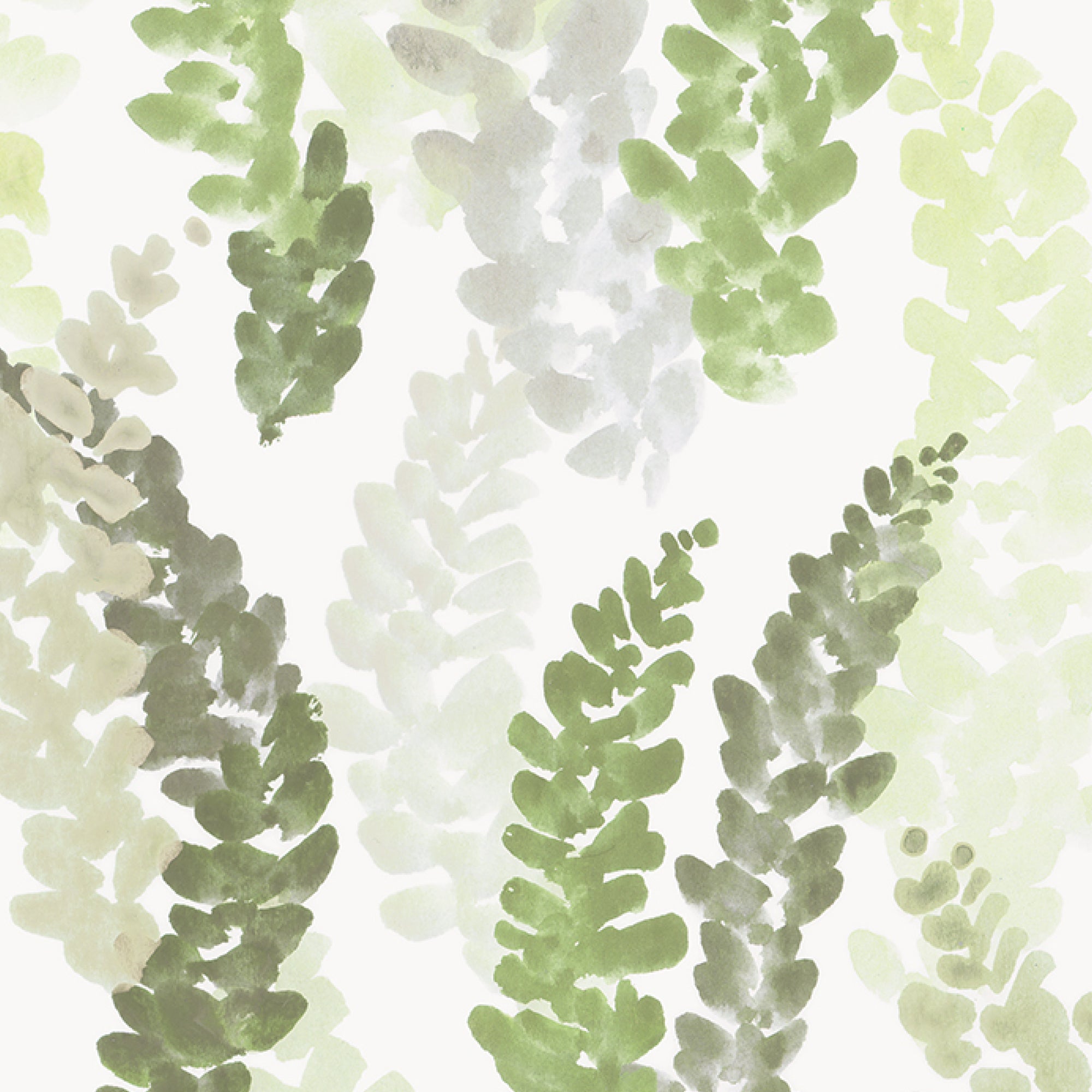 Frances-Leaf Oyster 0021