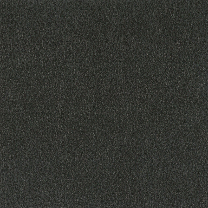 Fiesta-Onyx