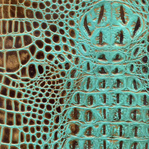 Gator Hornback - Turquoise Brown
