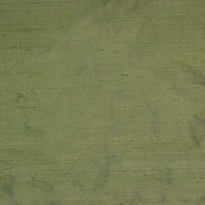 Plain Silk-Moss