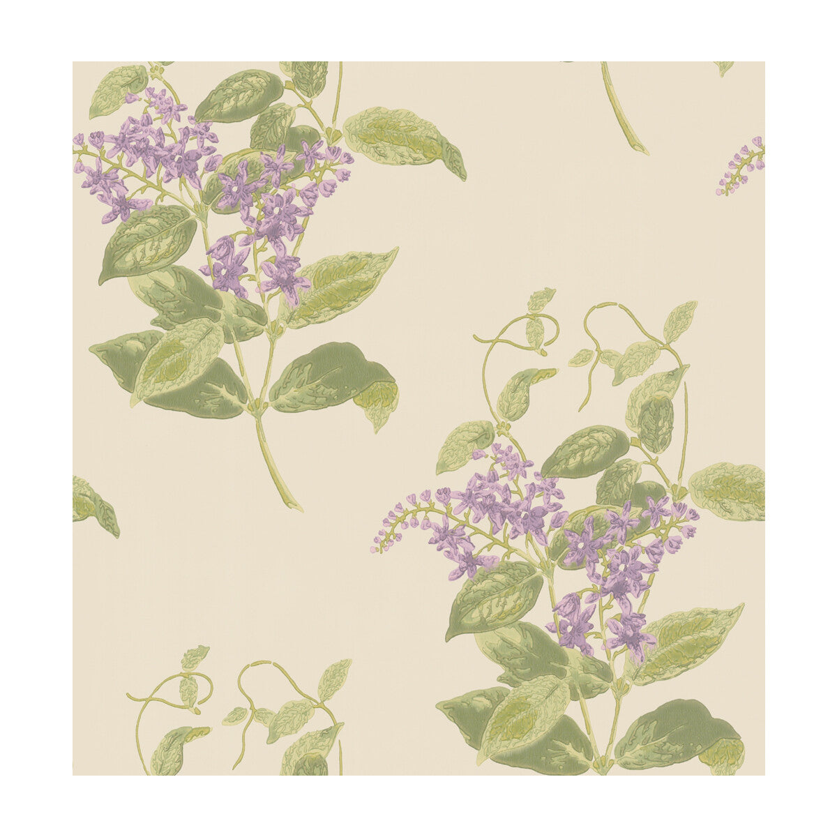 Madras Violet-Olive &amp; Lavender