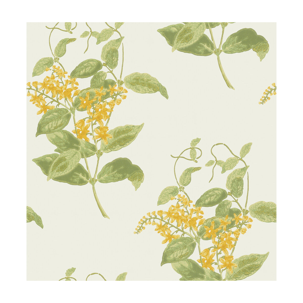 Madras Violet-Yellow
