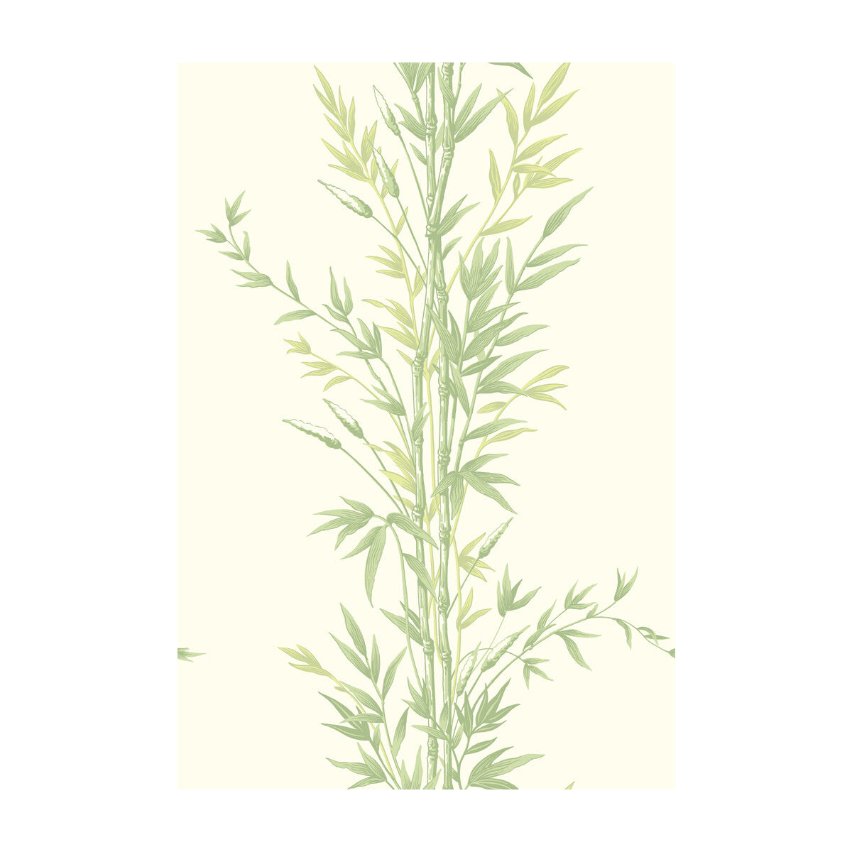Bamboo-Green