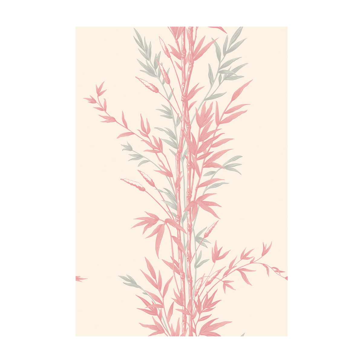Bamboo-Pink