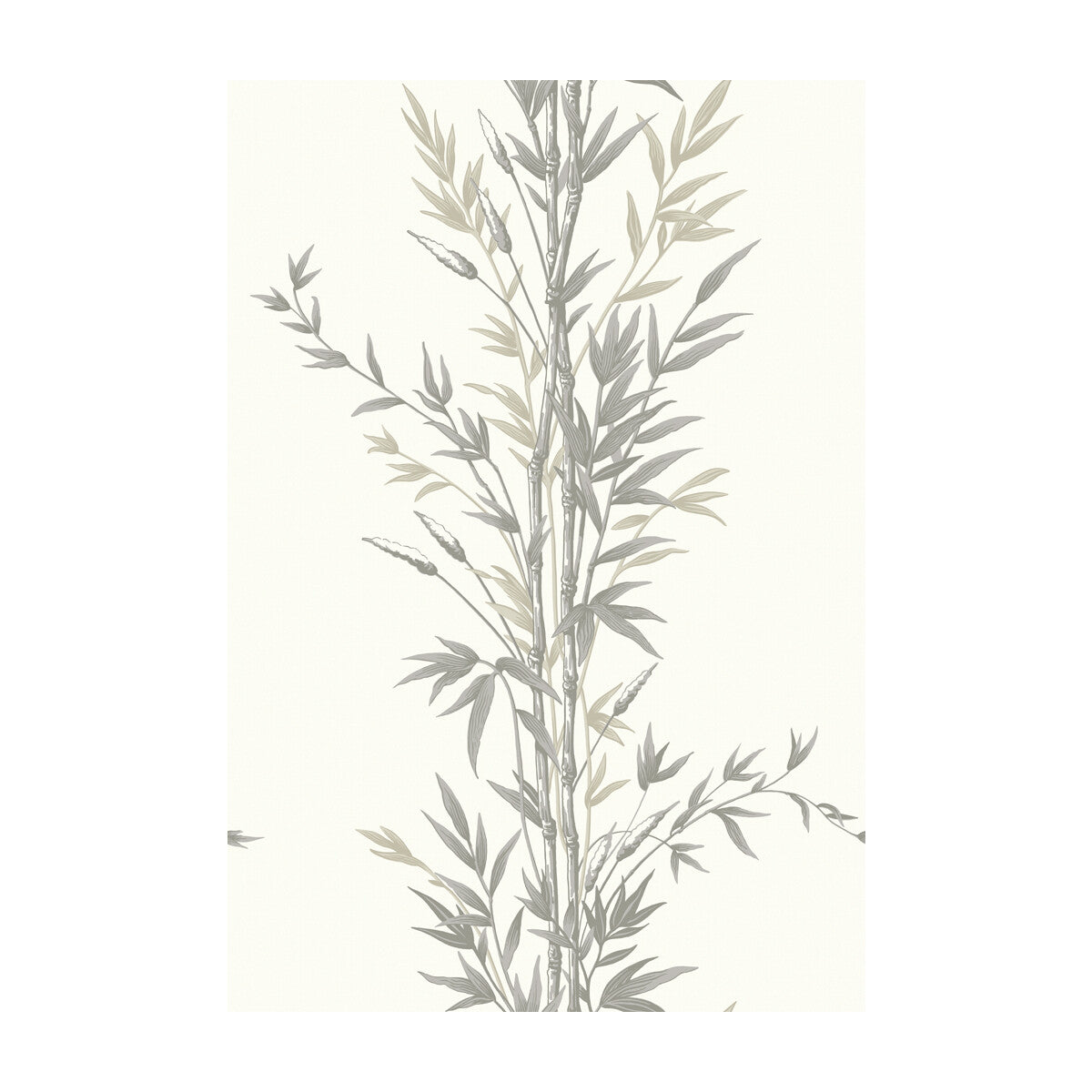 Bamboo-Charcoal