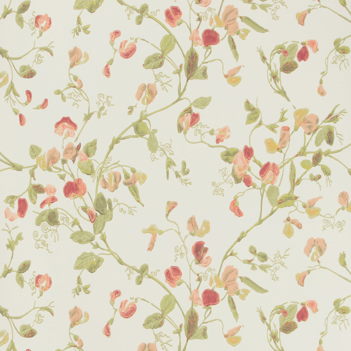 Sweet Pea-Pink