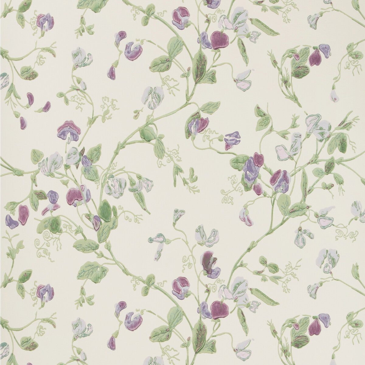 Sweet Pea-Violet
