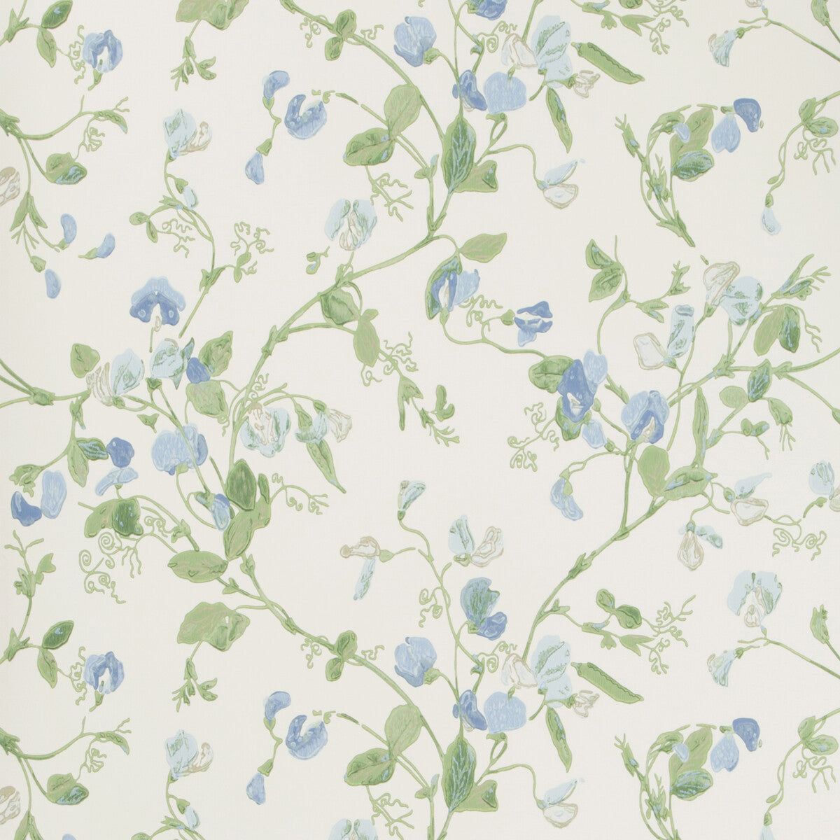 Sweet Pea-Blue