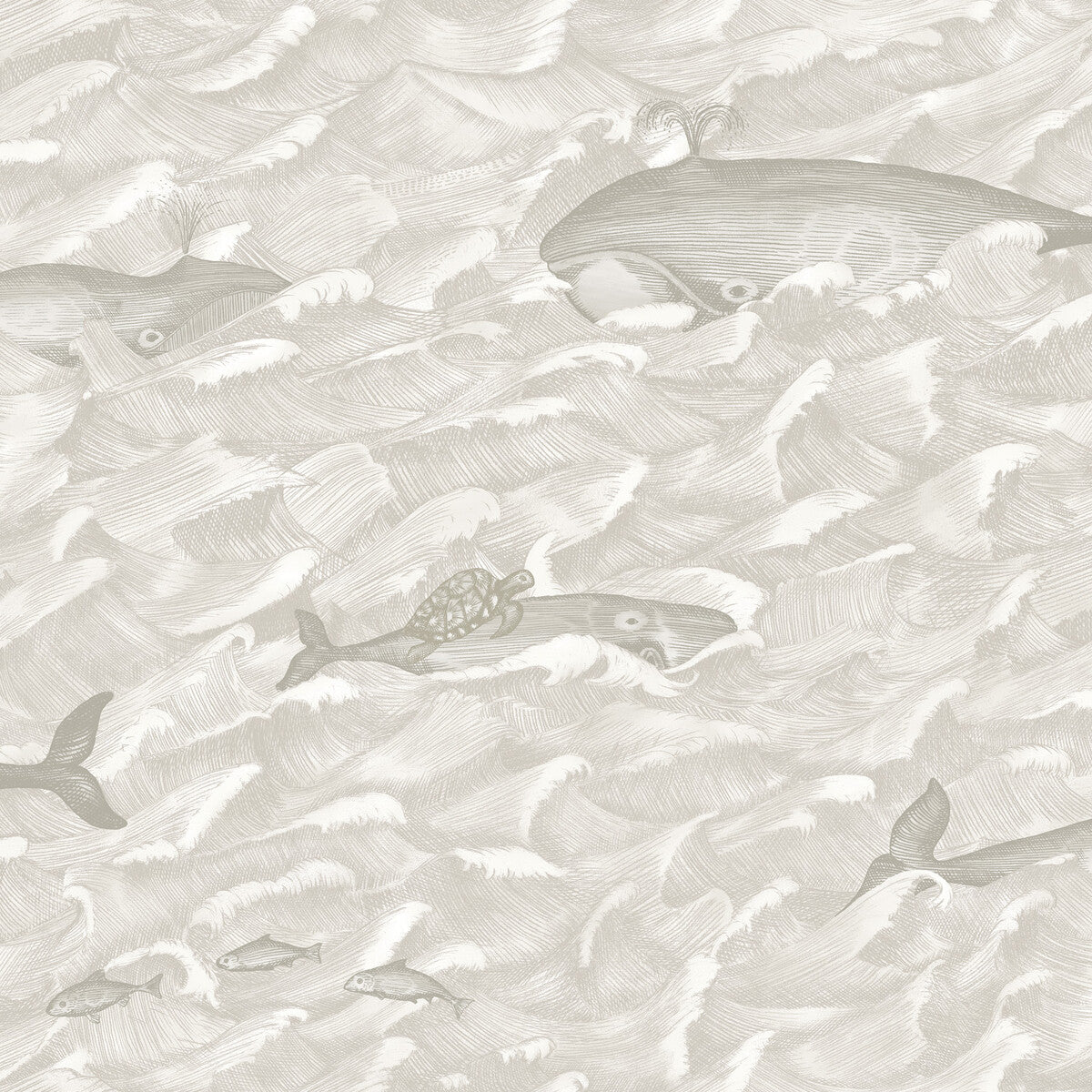 Melville-Neutral