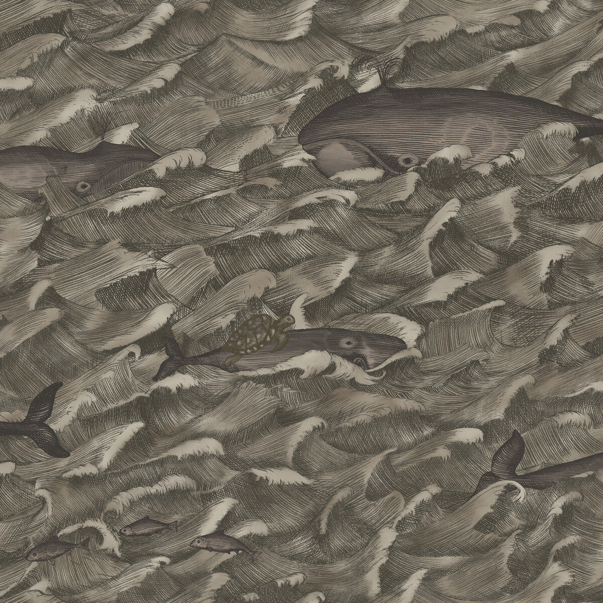 Melville Mt-Charcoal