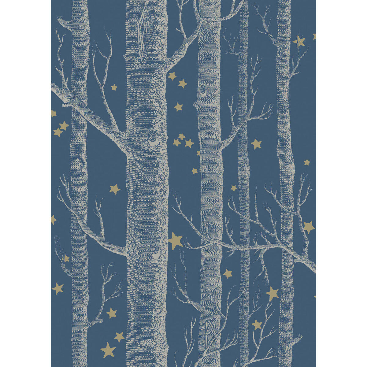 Woods &amp; Stars-Midnight