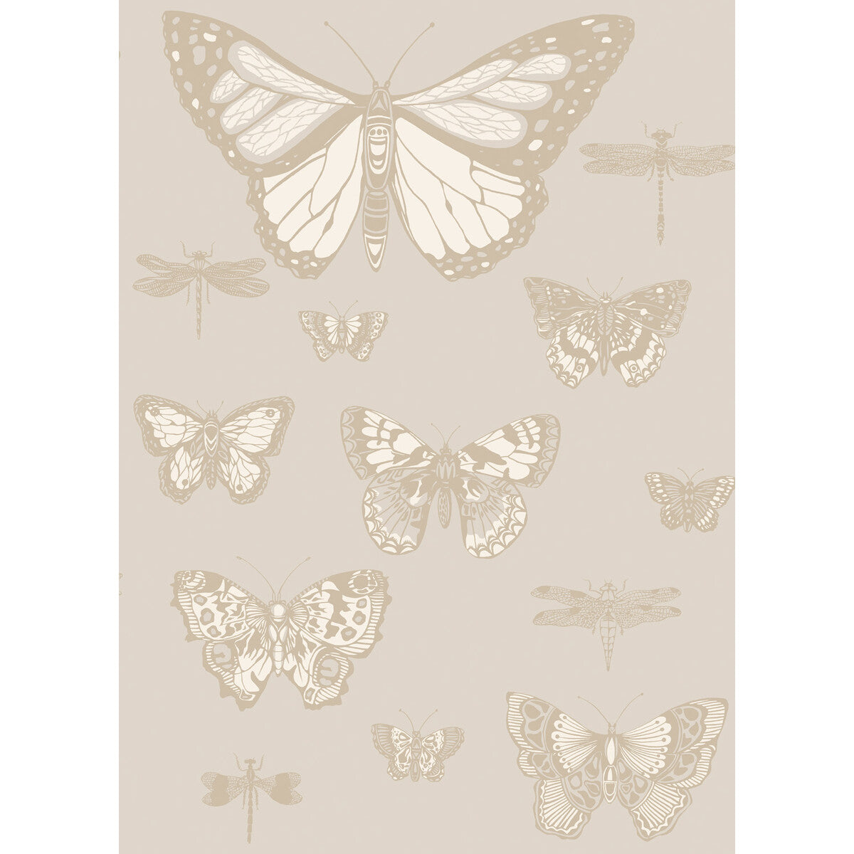 Butterflies &amp; Dragonflies-Grey