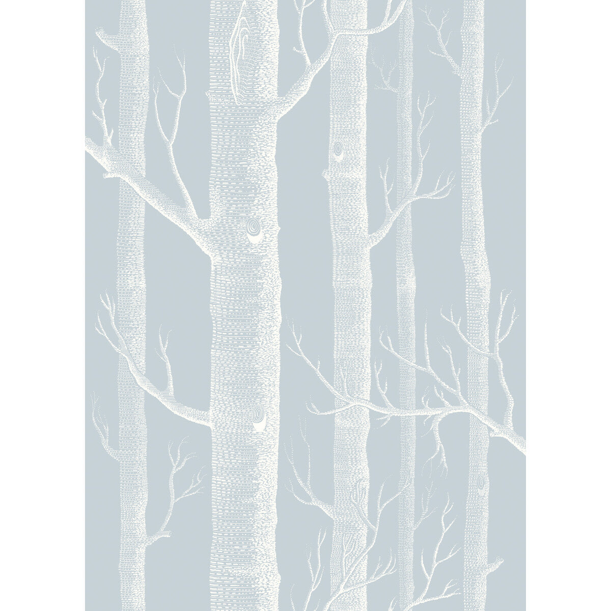 Woods-Powder Blue