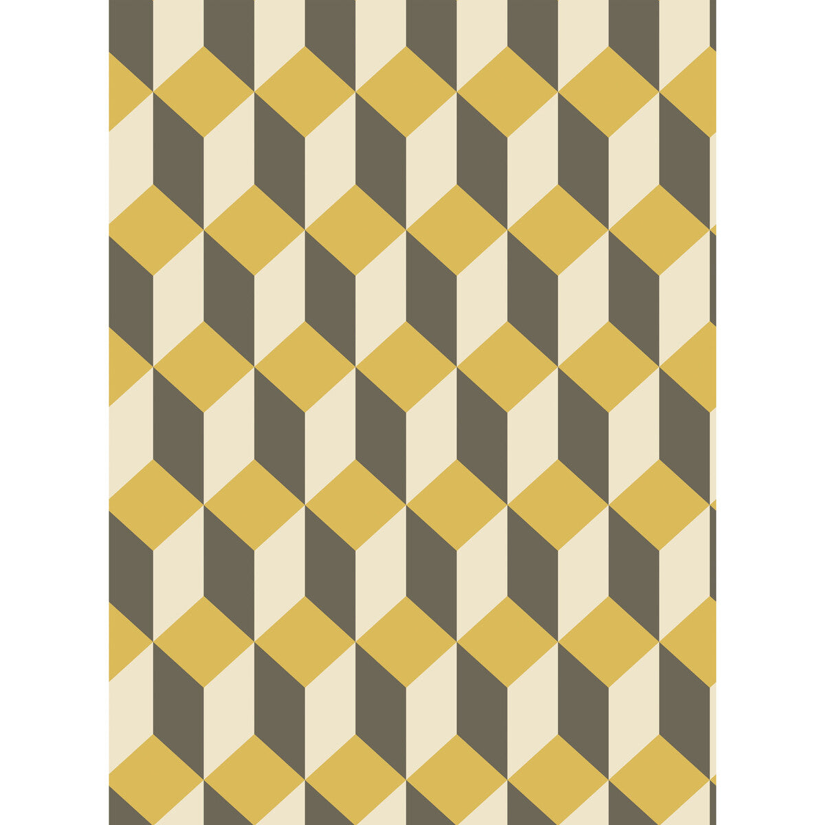 Delano-Yellow And Black
