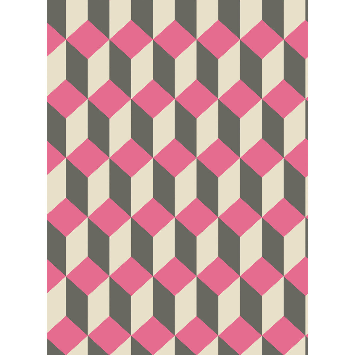 Delano-Pink And Black