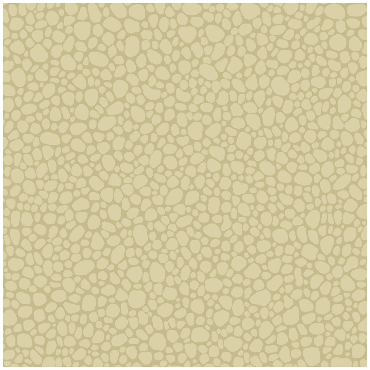Pebble-Latte
