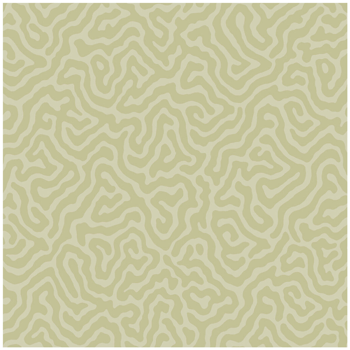 Coral-Old Olive