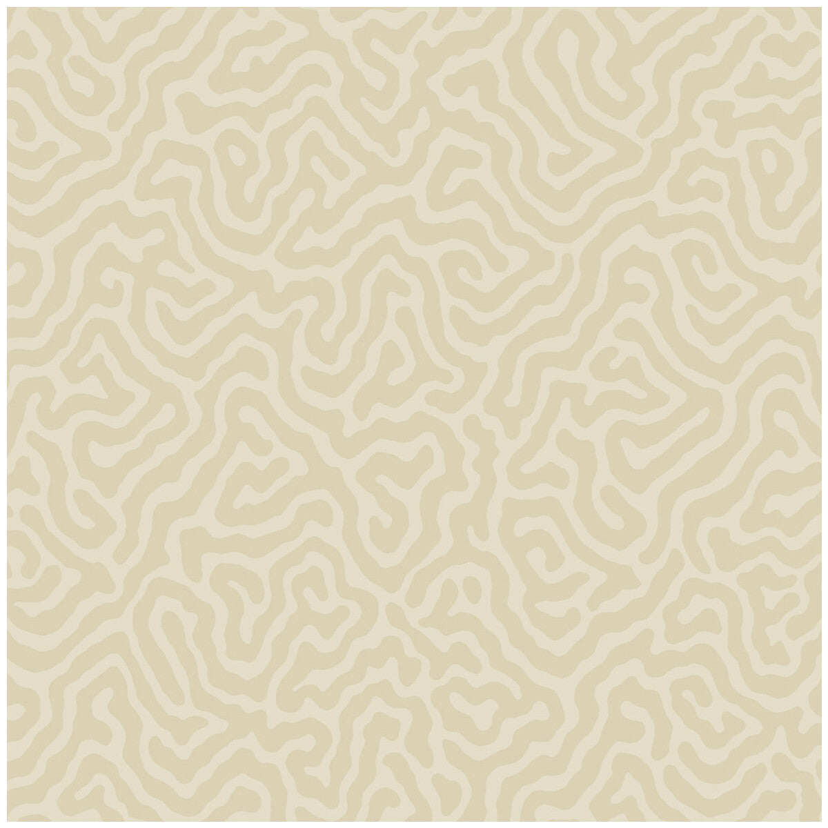 Coral-Parchment