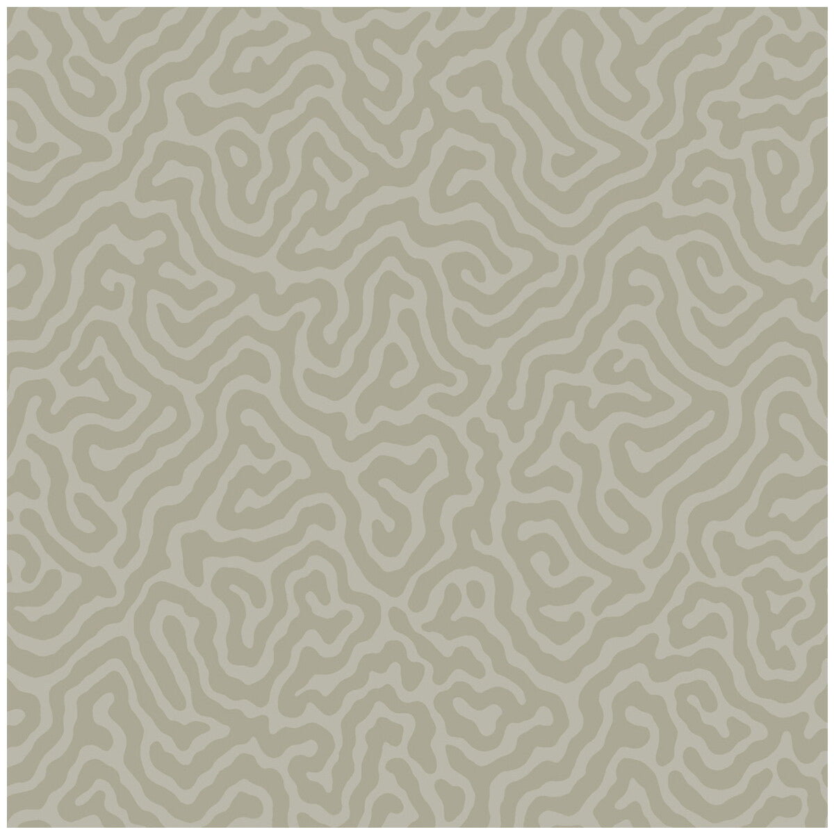 Coral-Stone