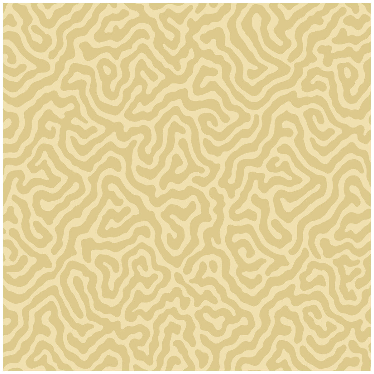 Coral-Ochre