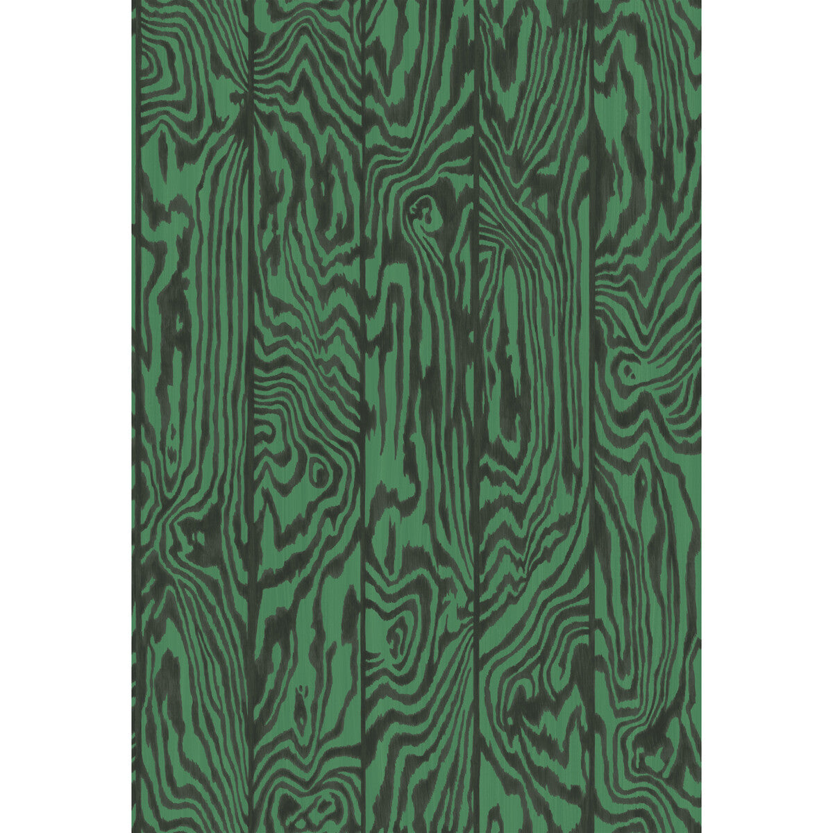 Zebrawood-Emerald