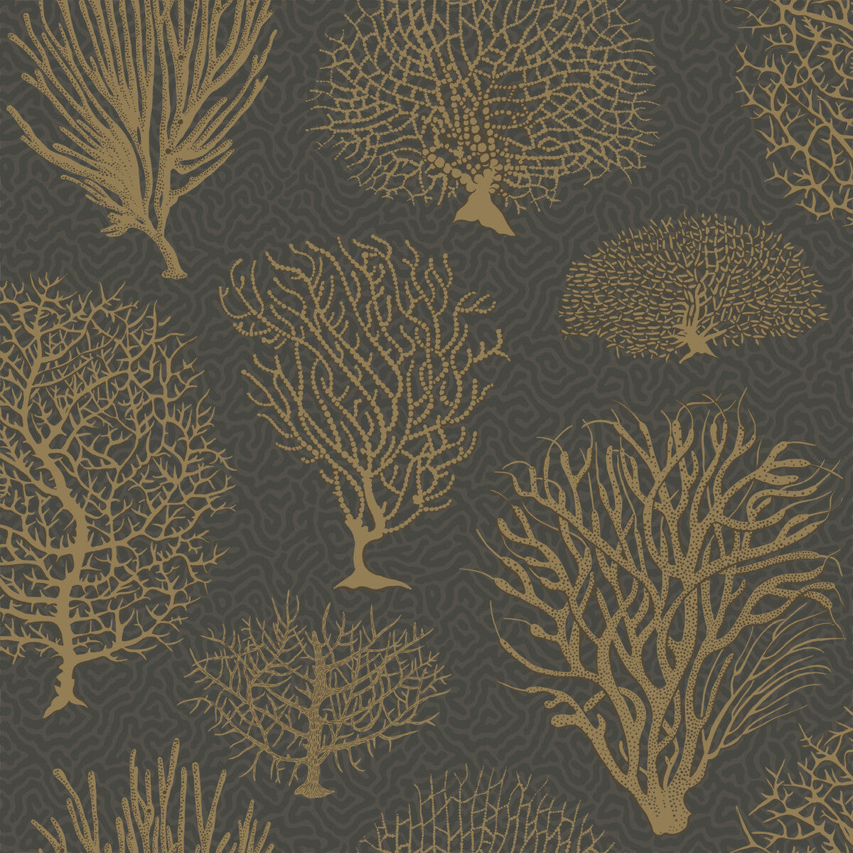 Seafern-Black &amp; Gold