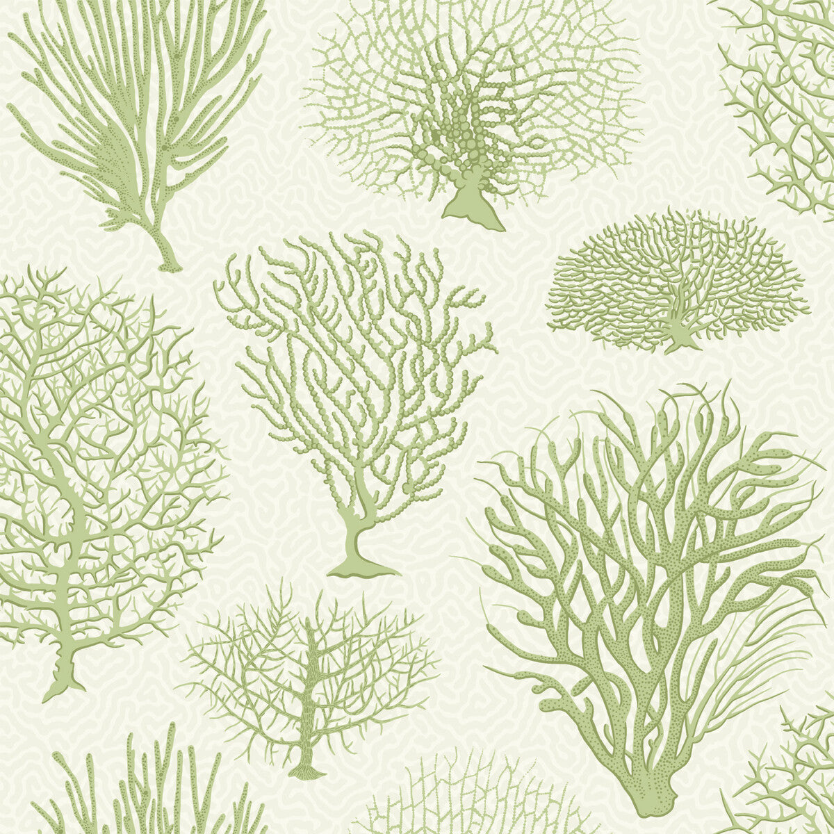 Seafern-Soft Green