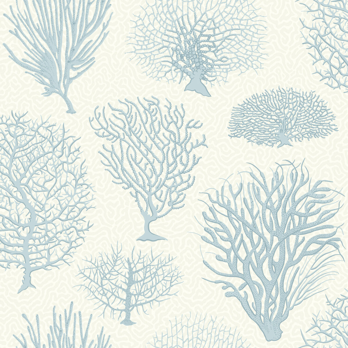 Seafern-Blue