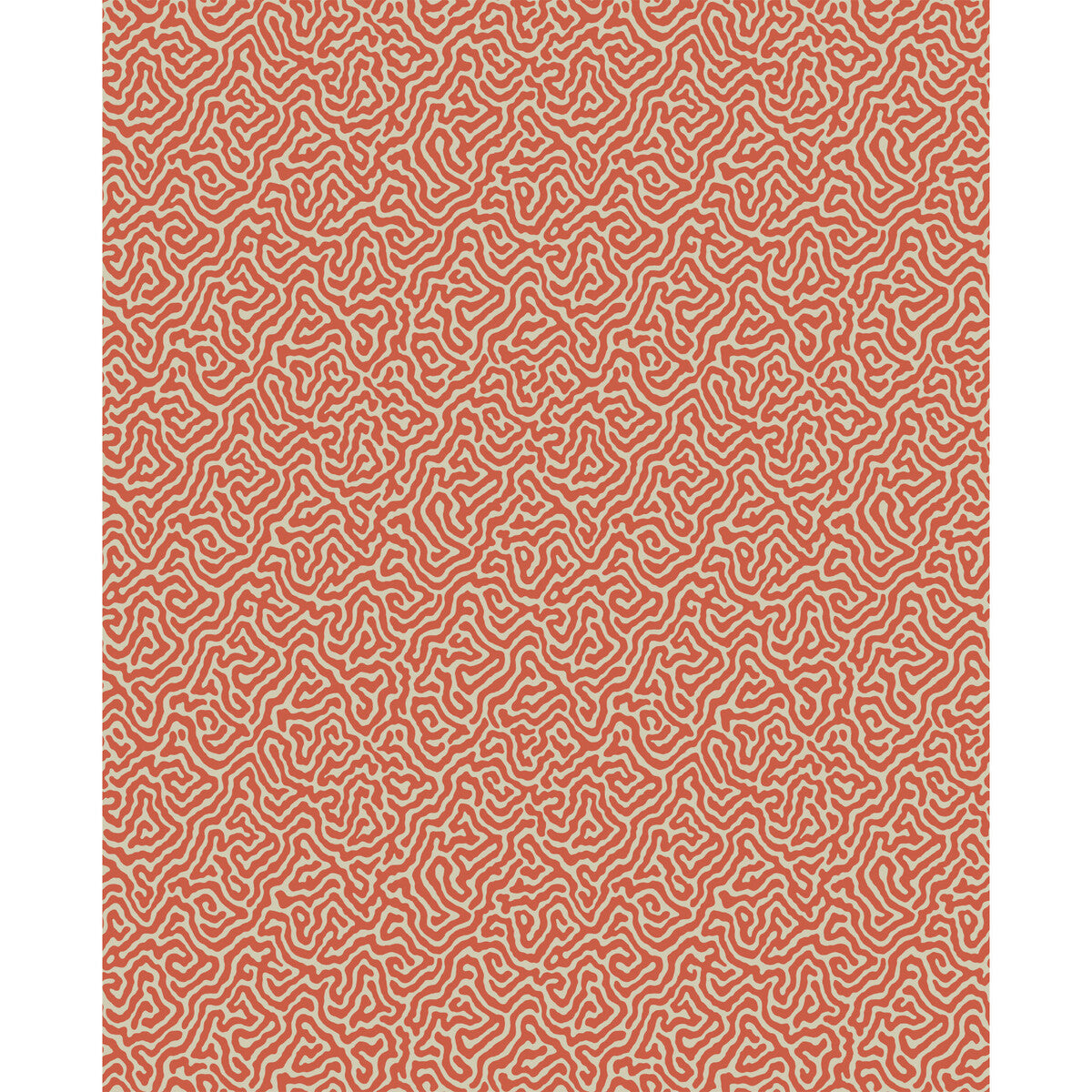 Vermicelli-Coral