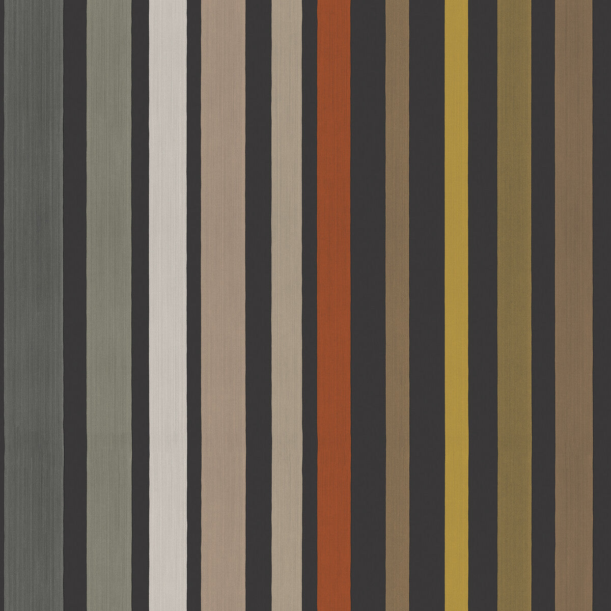 Carousel Stripe-Charcoal