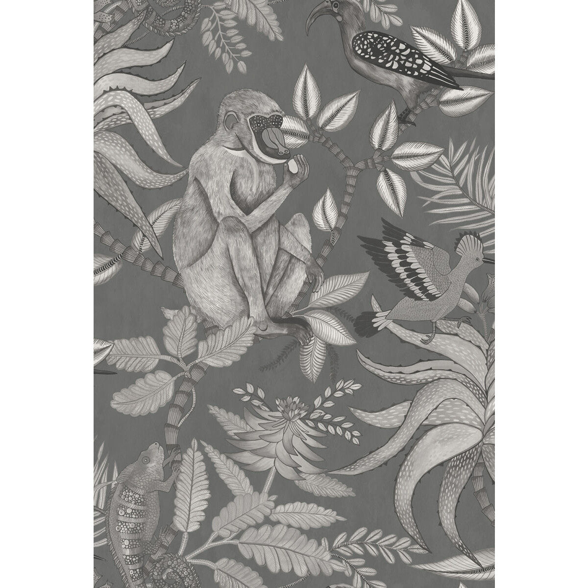 Savuti-Charcoal