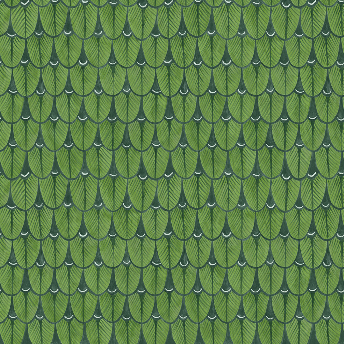 Narina-Leaf Green